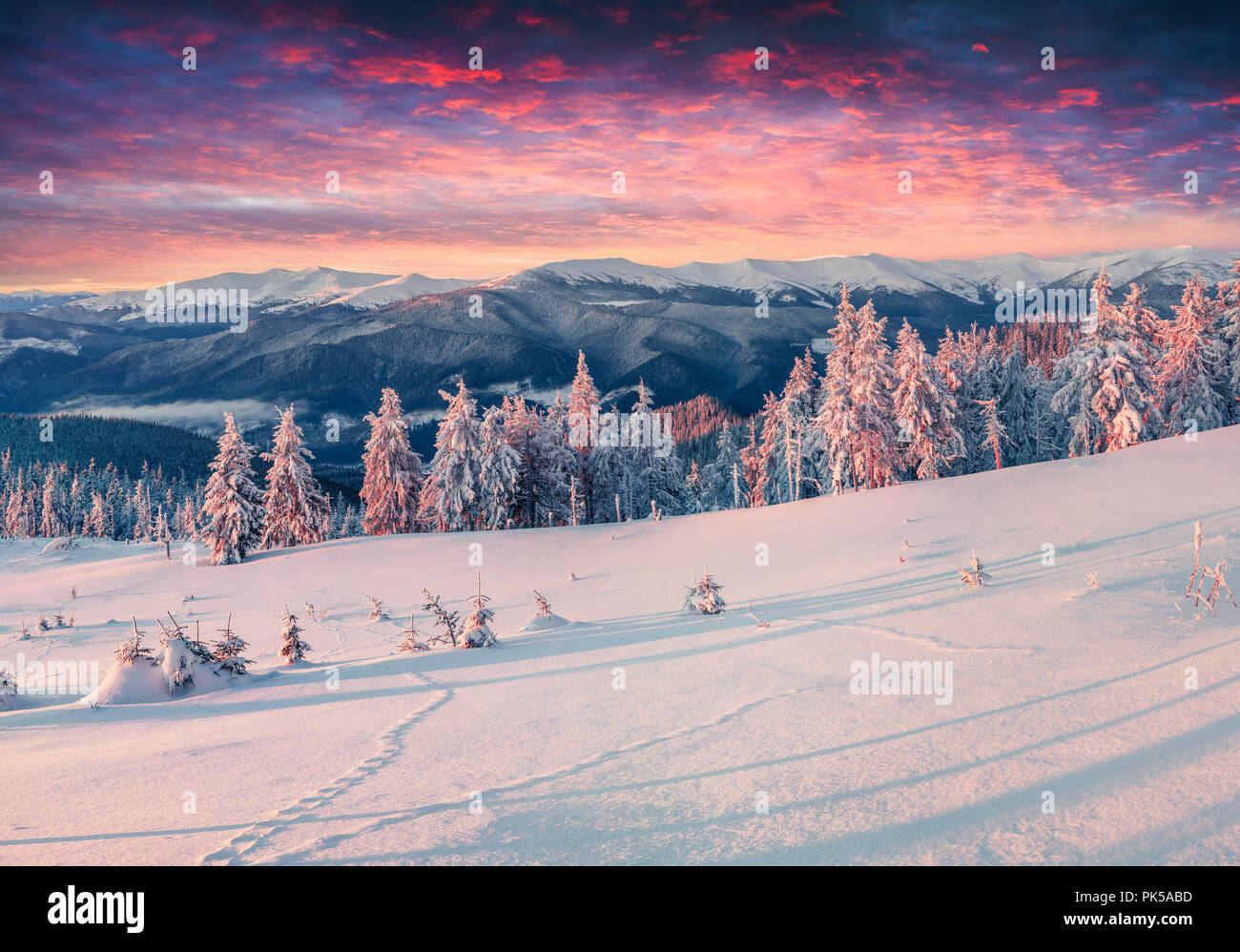 Colorful winter sunrise in the snowy mountains. Fresh snow at frosty morning glowing first sunlight. Instagram toning. Stock Photo