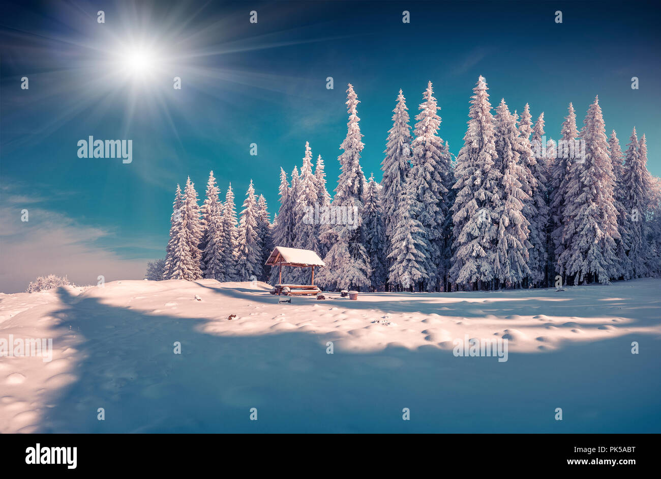 Winter fairy tale after heavy snowfall in the mountain forest. Instagram toning. Stock Photo