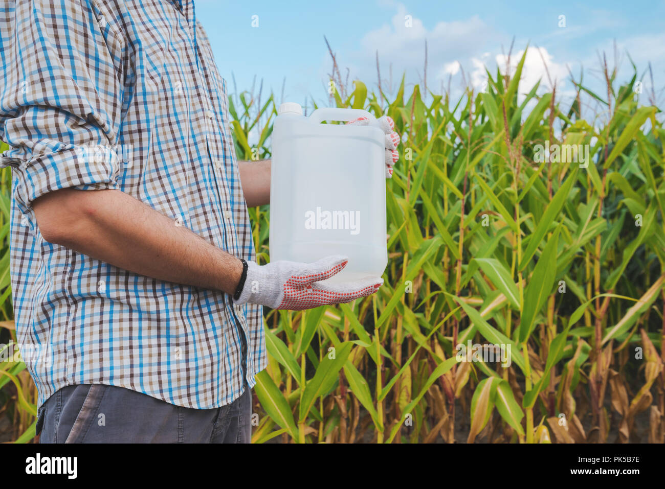 Farmer holding pesticide chemical jug in cornfield. Blank unlabelled bottle as mock up copy space for herbicide, fungicide or insecticide used in corn Stock Photo