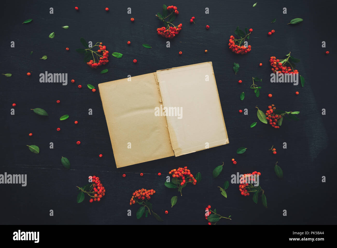 Vintage Open Book Flat Lay As Mock Up Copy Space Od Dark Black