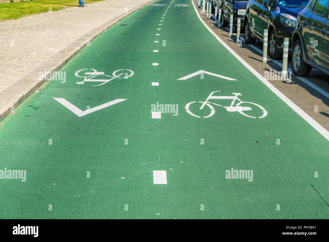 bicycle sign with arrow on the asphalt, bike road sign on the street ...