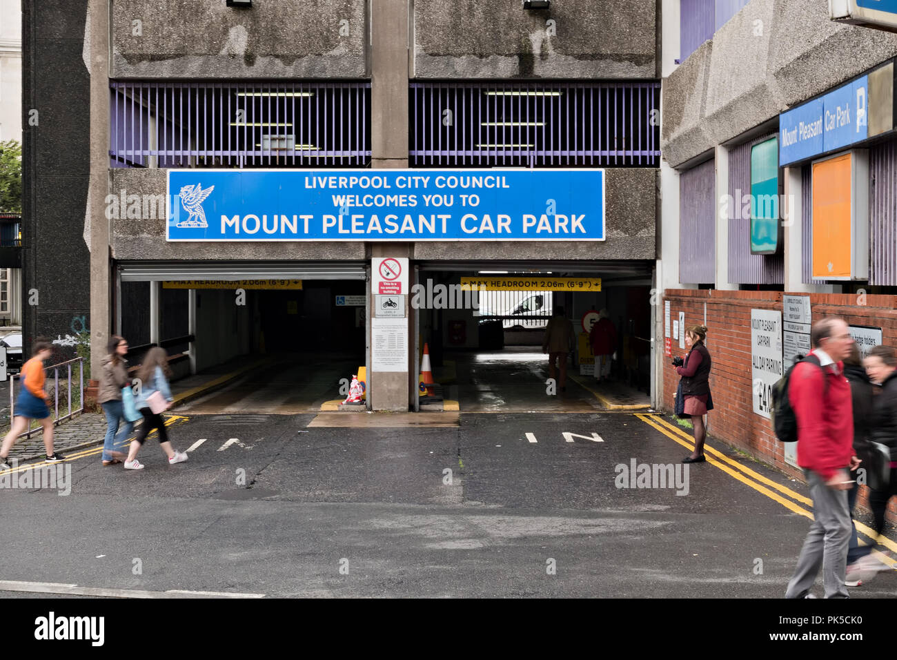Mt Pleasant Car Rental at Kara Solomon blog