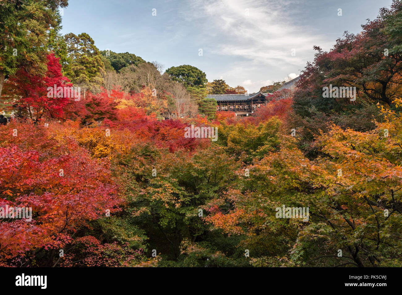 Japanese valley landscape hi-res stock photography and images - Alamy