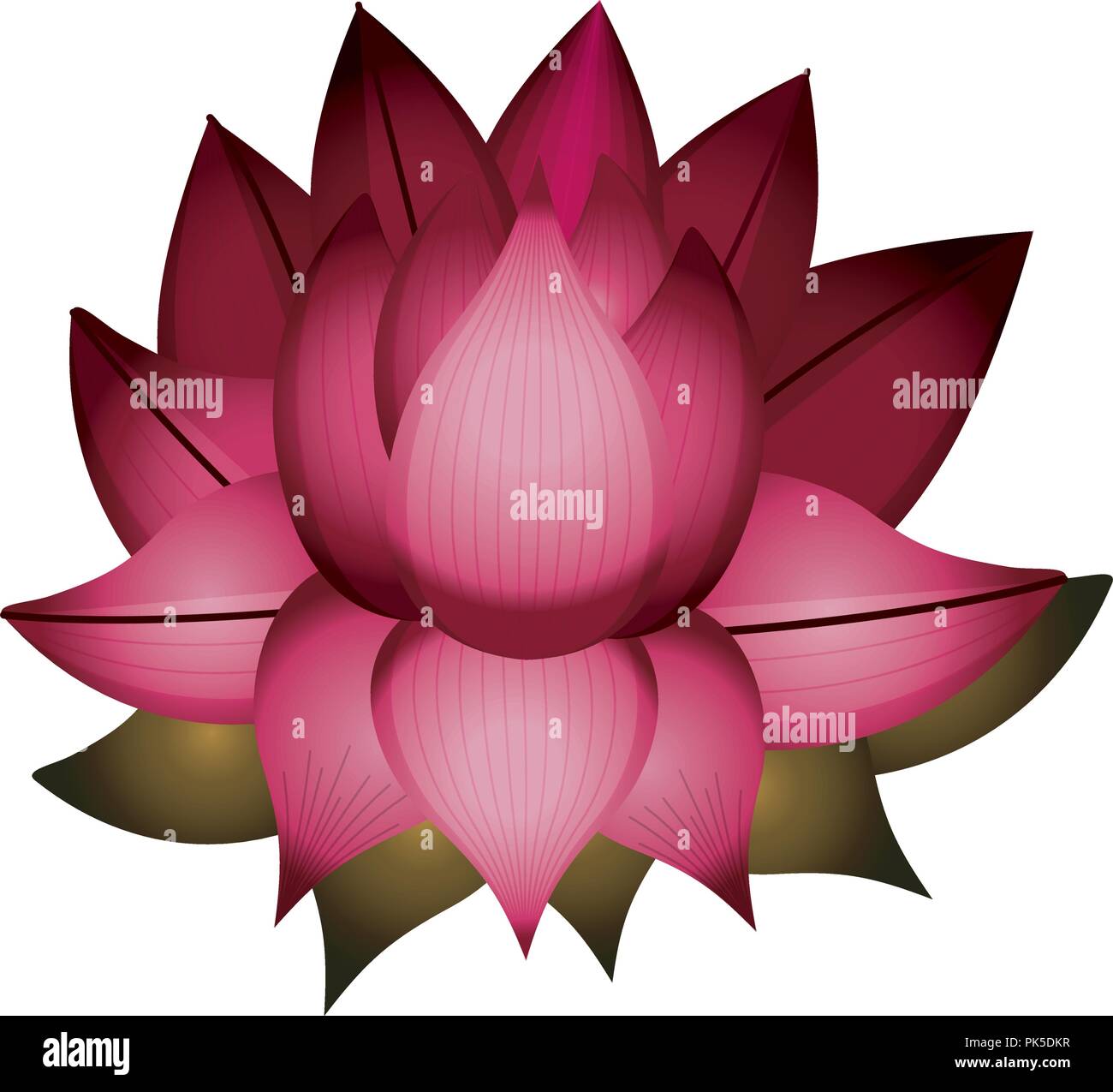 Isolated lotus flower design Stock Vector Image & Art - Alamy