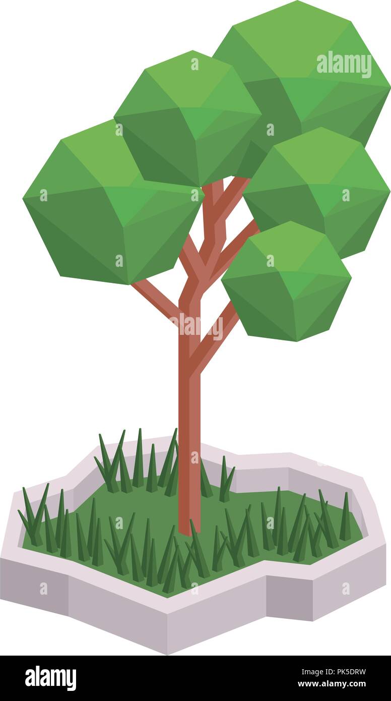 Isolated and isometric tree design Stock Vector Image & Art - Alamy