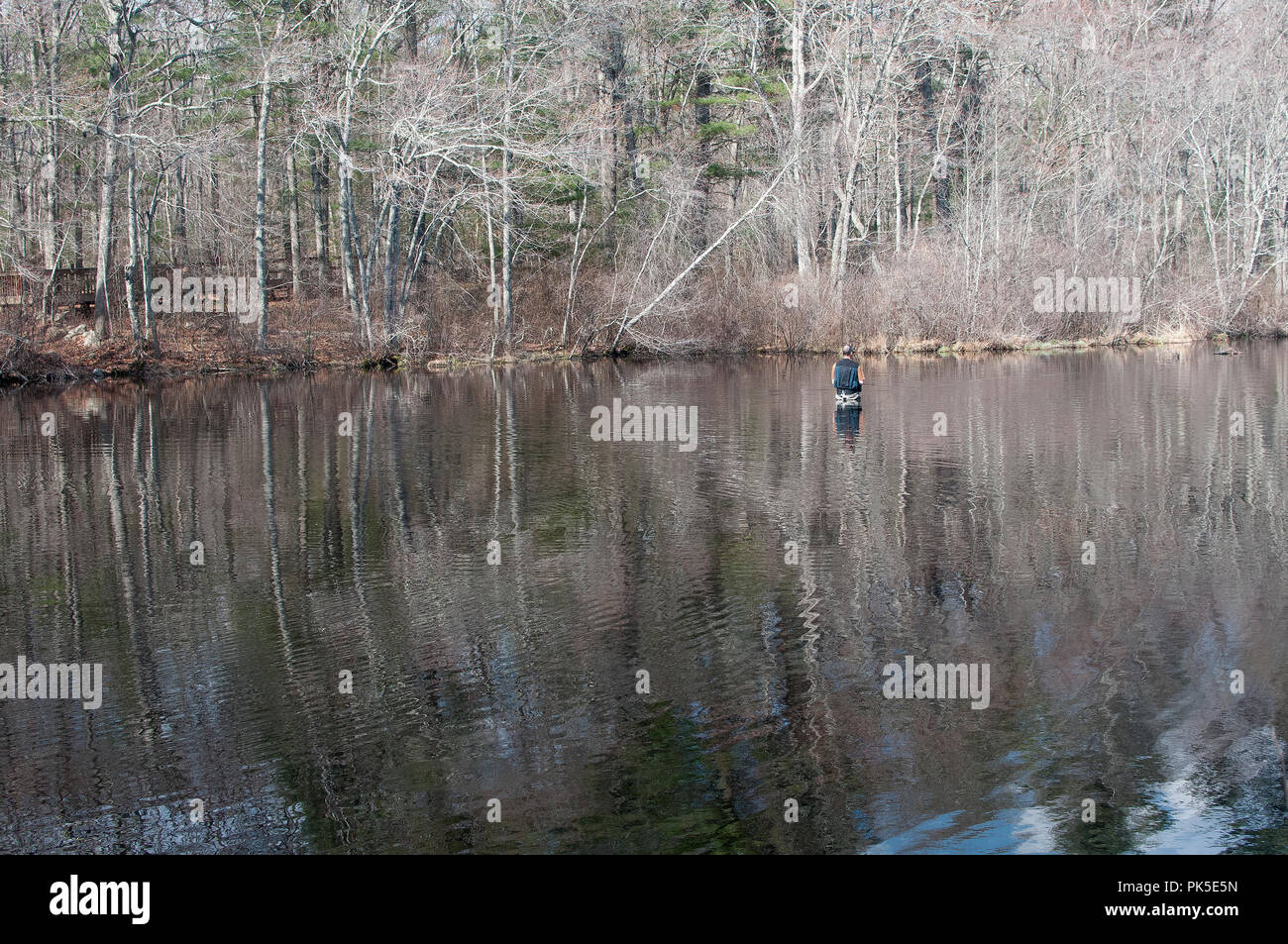Fisherman wading in pond Stock Photo - Alamy