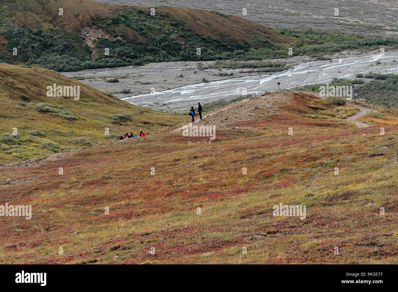 Hiking in Denali Park Stock Photo Alamy