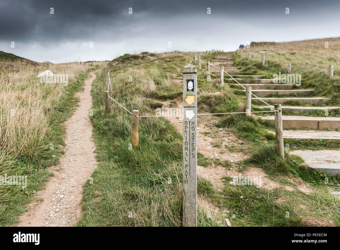 A marker direction post offering alternative routes on the South West Coast Path on the Cornish coast. Stock Photo