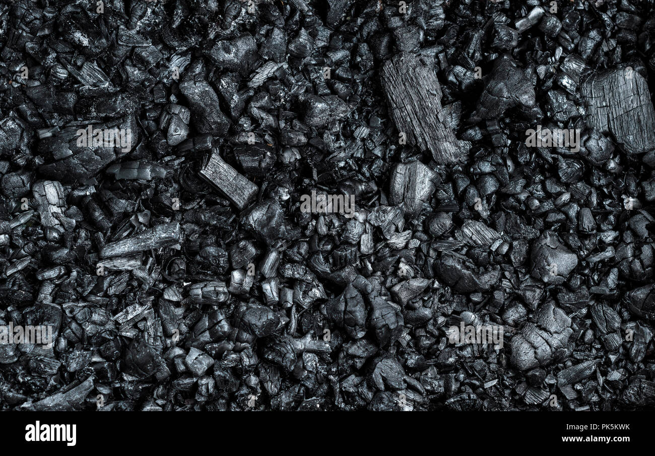 texture of black burnt coal with wooden logs, full frame, various