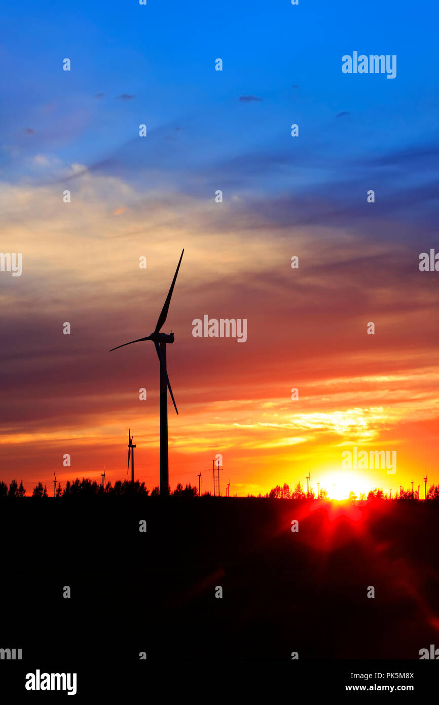 In the evening, the silhouette of wind turbines Stock Photo - Alamy