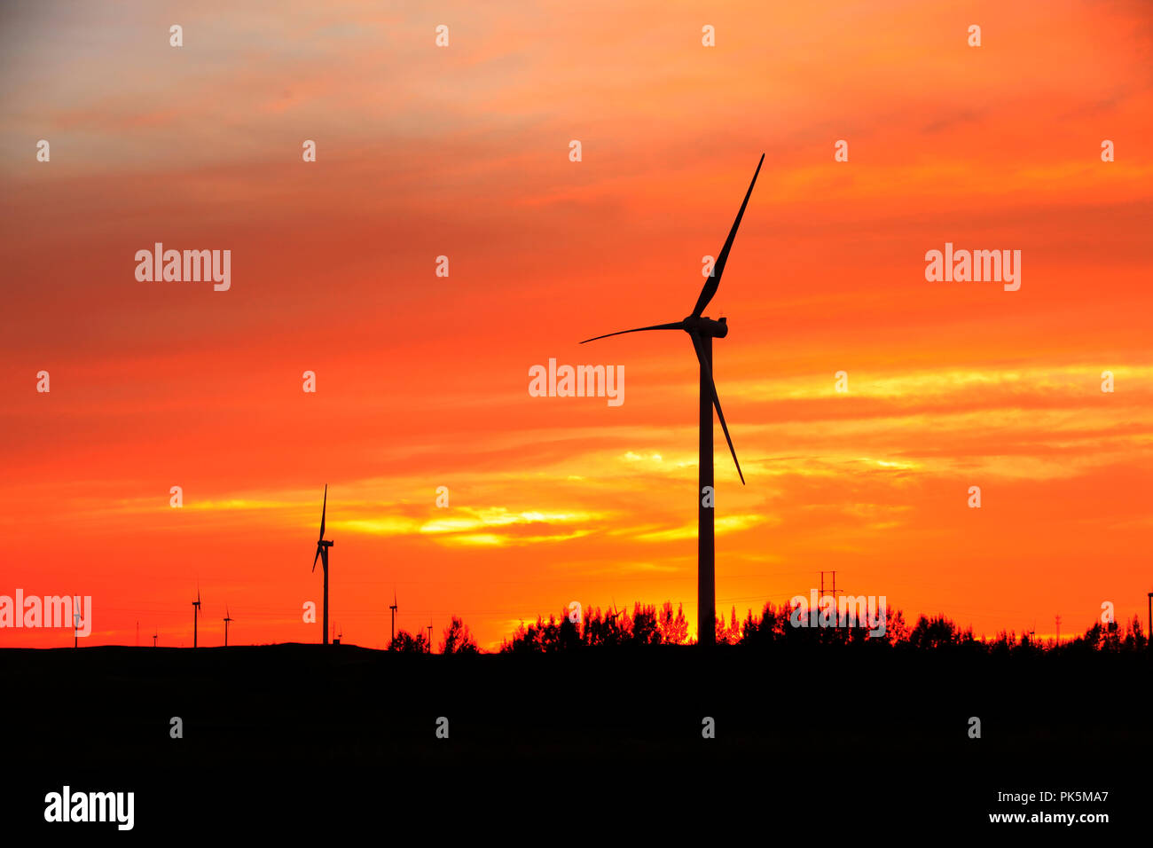 In the evening, the silhouette of wind turbines Stock Photo - Alamy