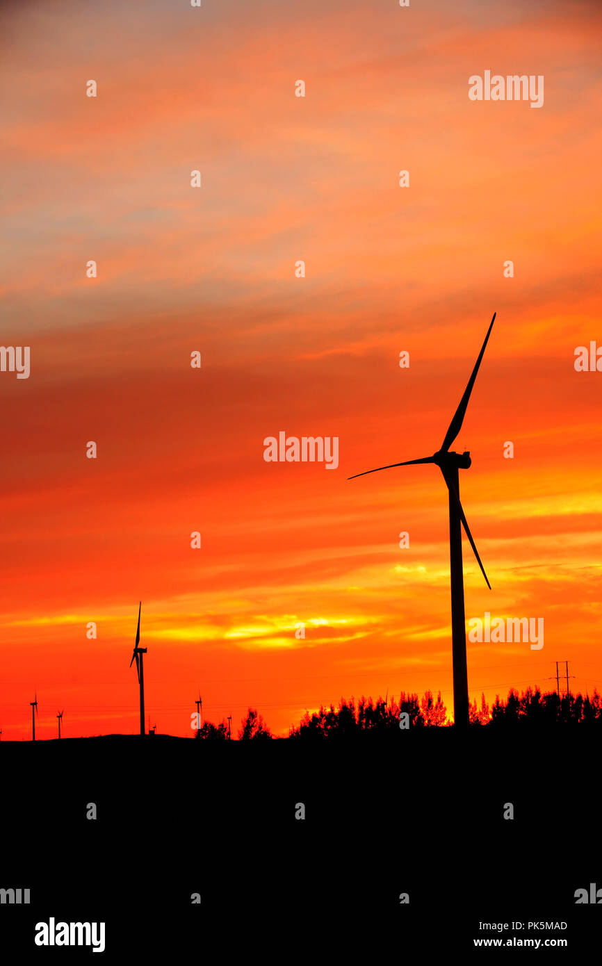 In the evening, the silhouette of wind turbines Stock Photo - Alamy