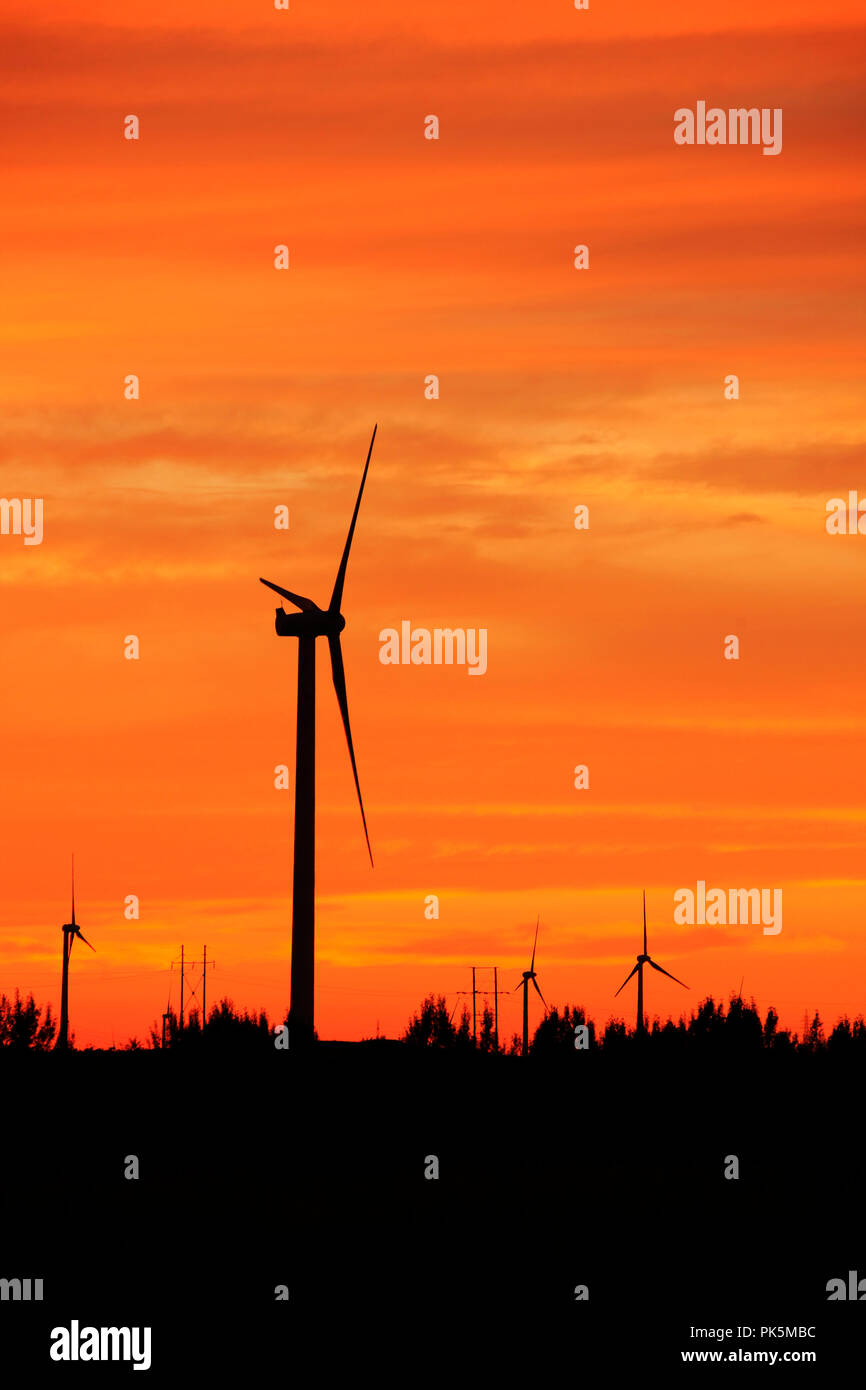 In the evening, the silhouette of wind turbines Stock Photo - Alamy