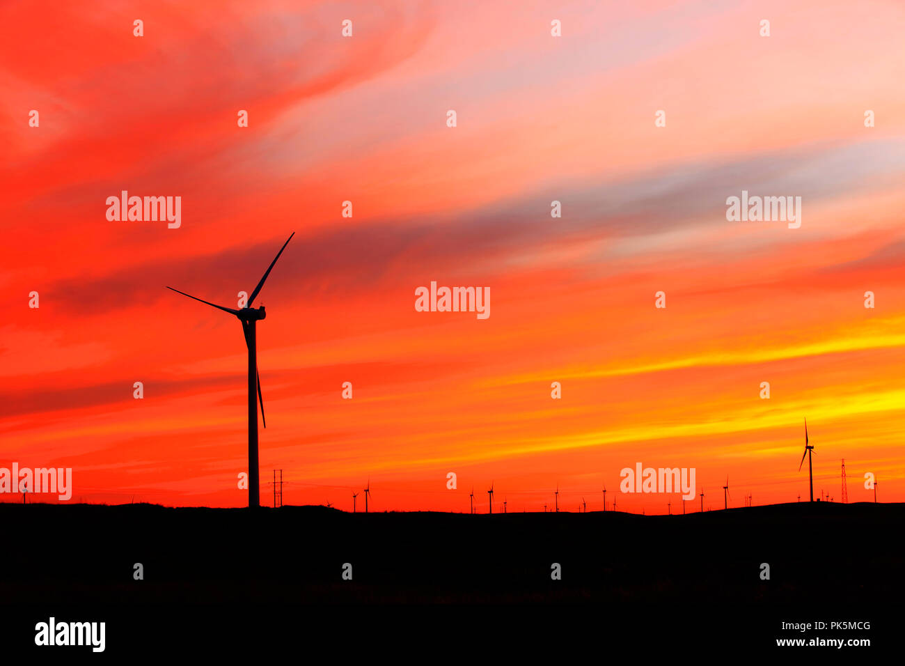 In the evening, the silhouette of wind turbines Stock Photo - Alamy