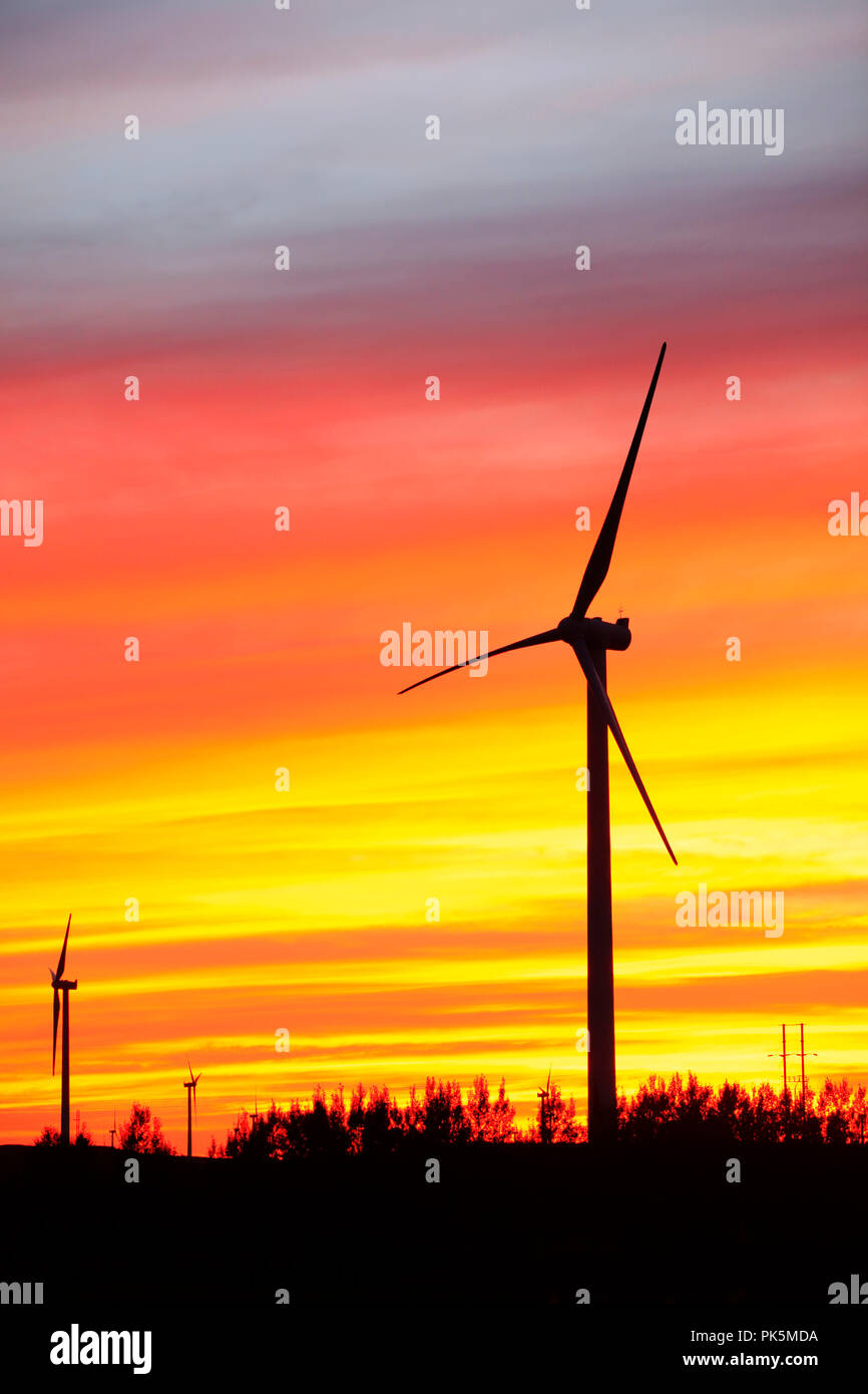 In the evening, the silhouette of wind turbines Stock Photo - Alamy