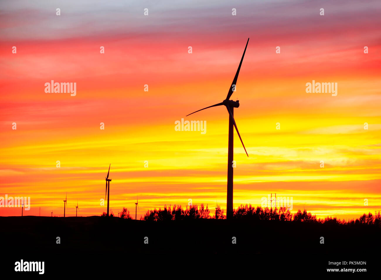 In the evening, the silhouette of wind turbines Stock Photo - Alamy