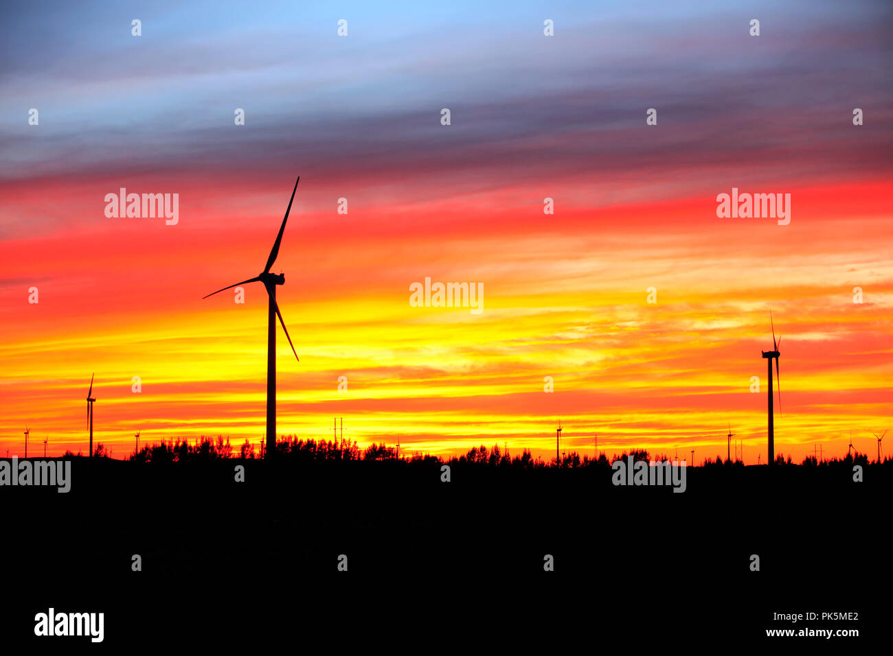 In the evening, the silhouette of wind turbines Stock Photo - Alamy