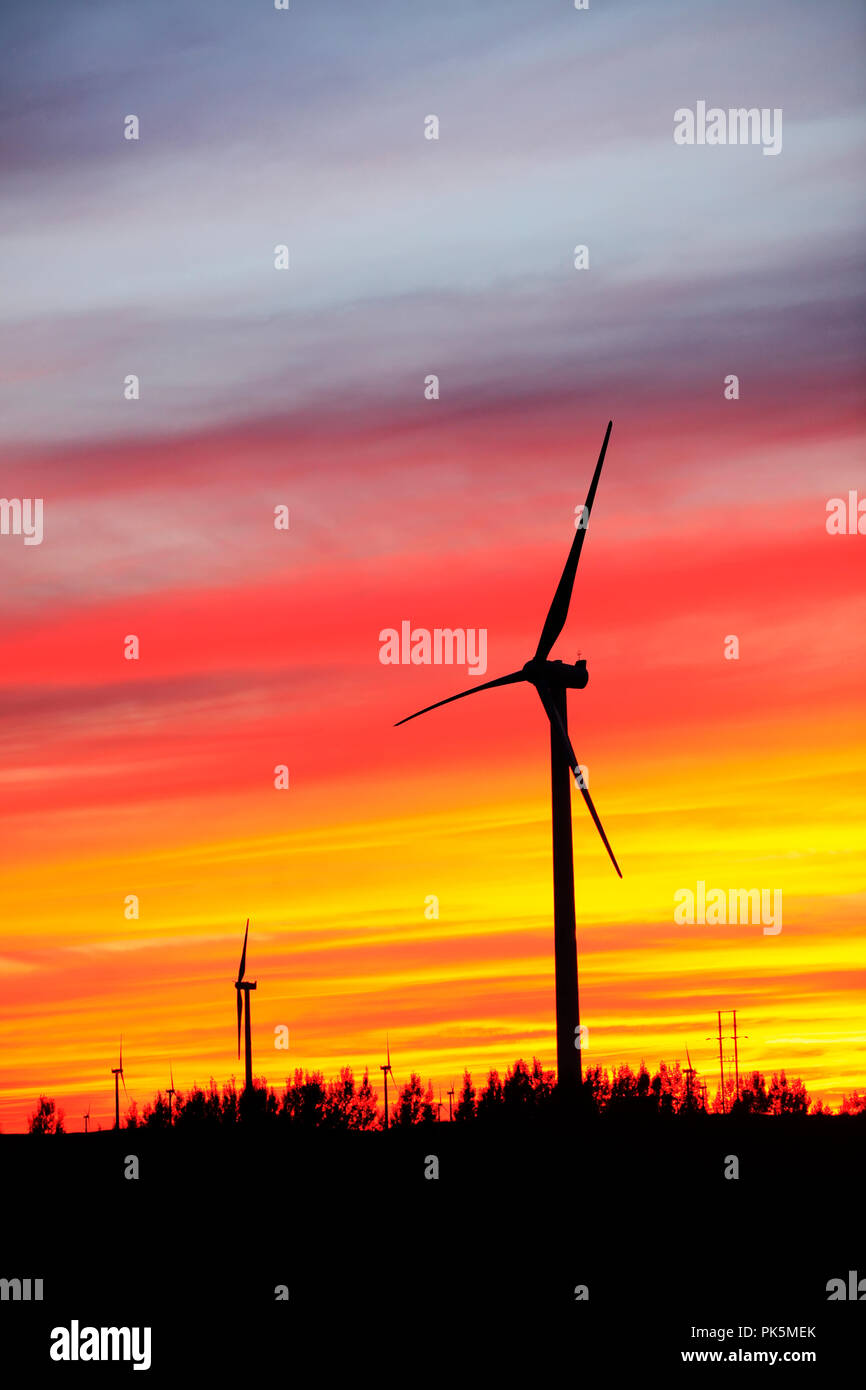 In the evening, the silhouette of wind turbines Stock Photo - Alamy
