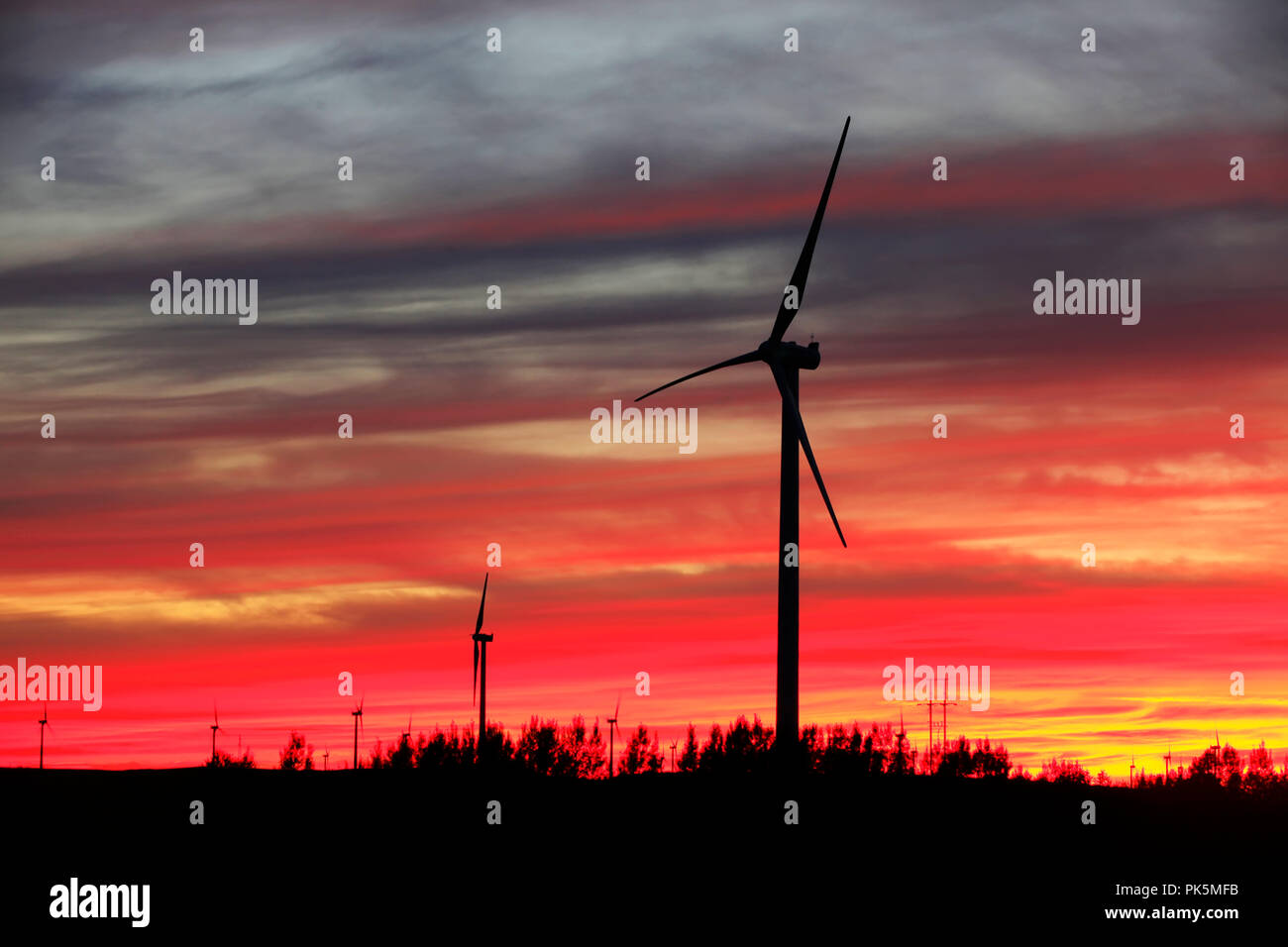 In the evening, the silhouette of wind turbines Stock Photo - Alamy