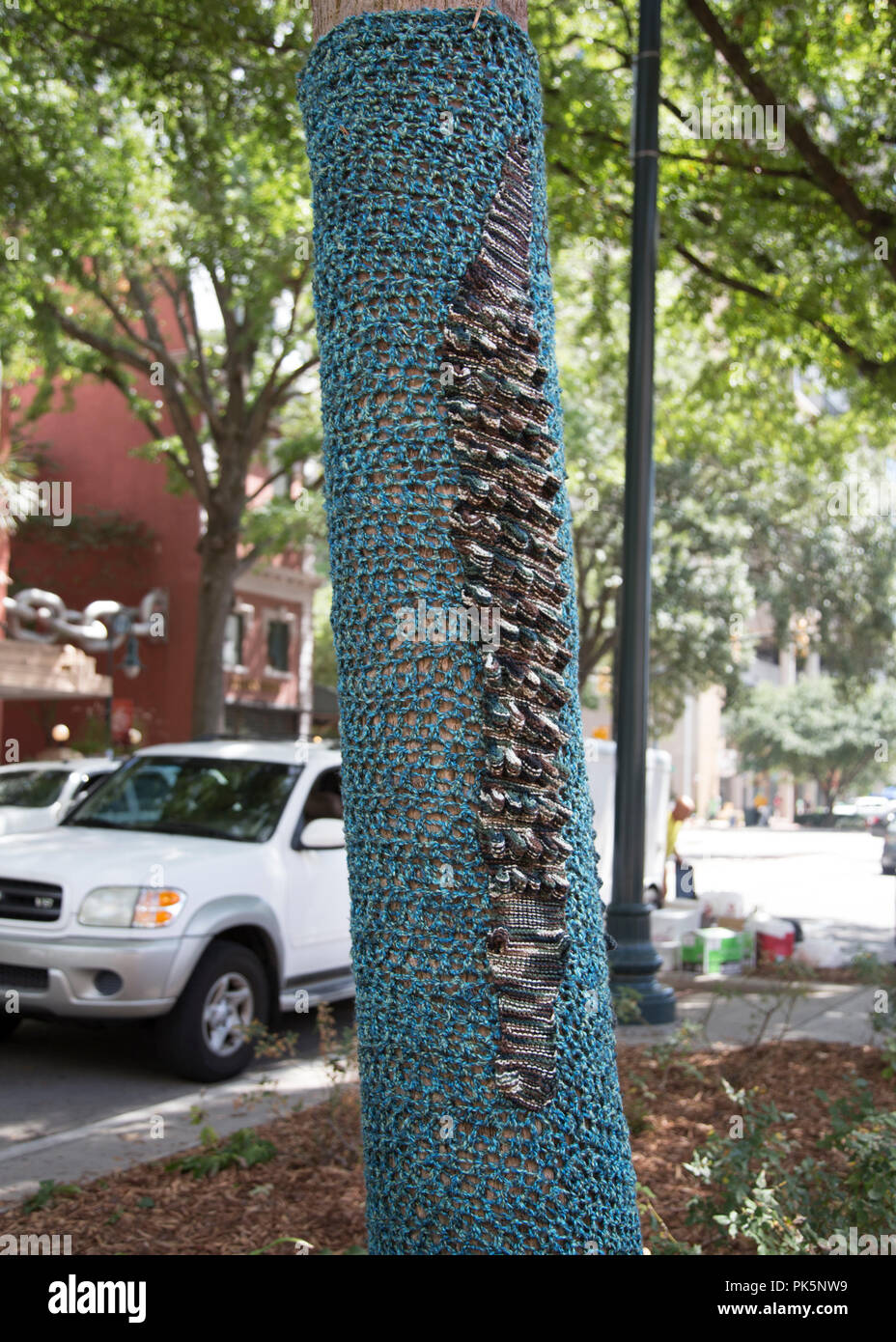 group of guerrilla knitters attacked Main Street Columbia south carolina,they yarn bombed Trees, signs, parking meters, lampposts and bike racks along the 1500 block main Street photo by Catherine Brown Stock Photo