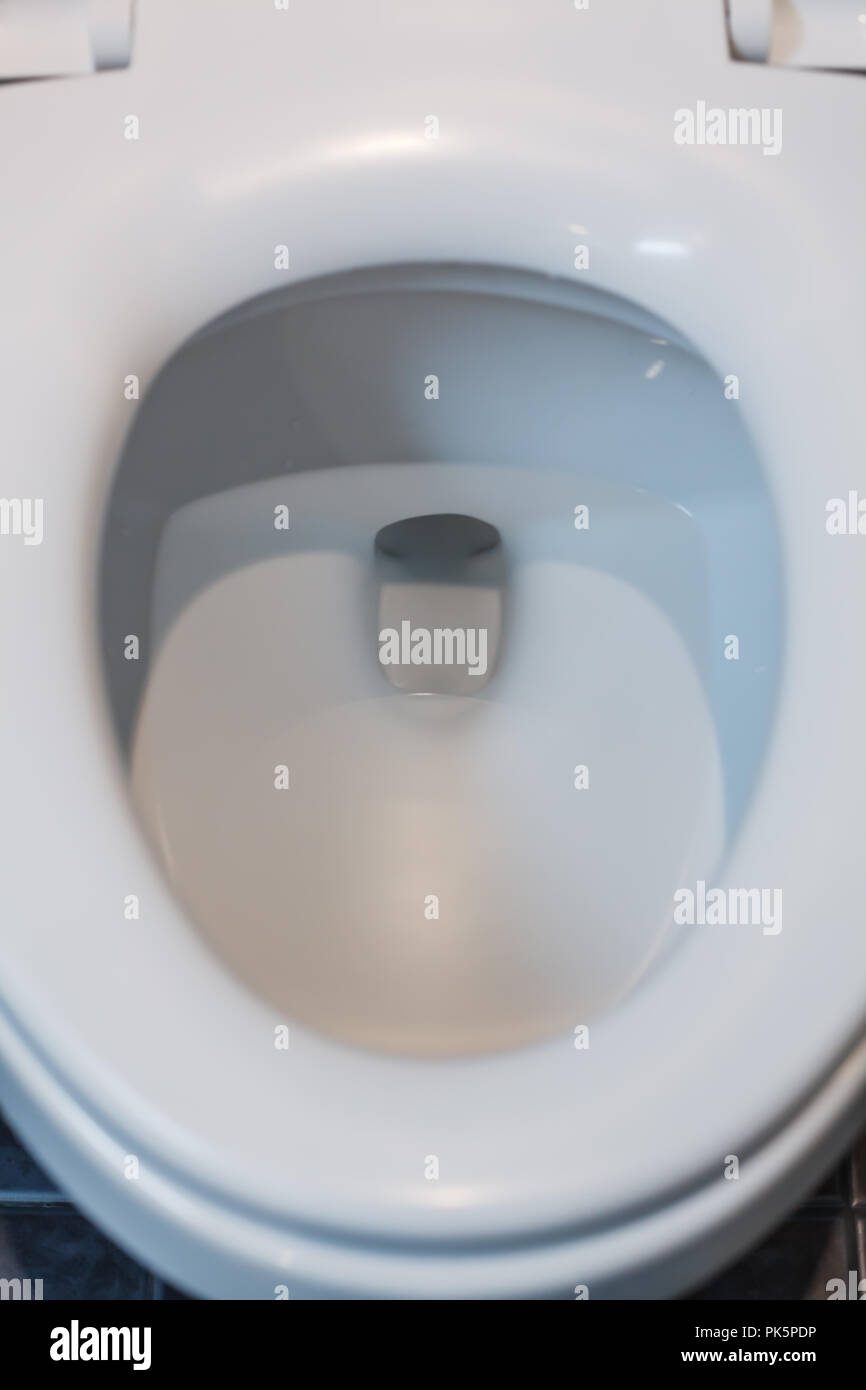 white clean hygienic ceramic flush toilet bowl, lid cover in bathroom