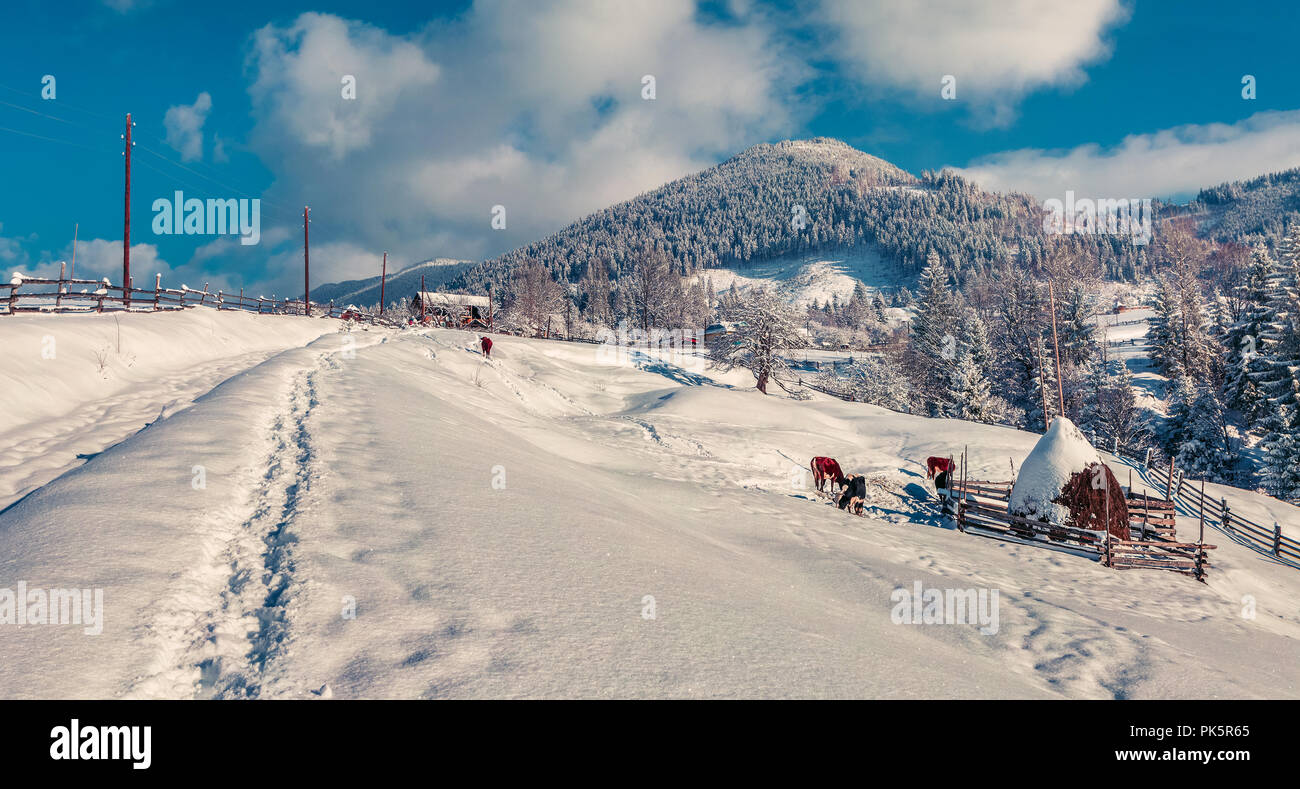 Sunny winter panorama of the mountain village. Stock Photo