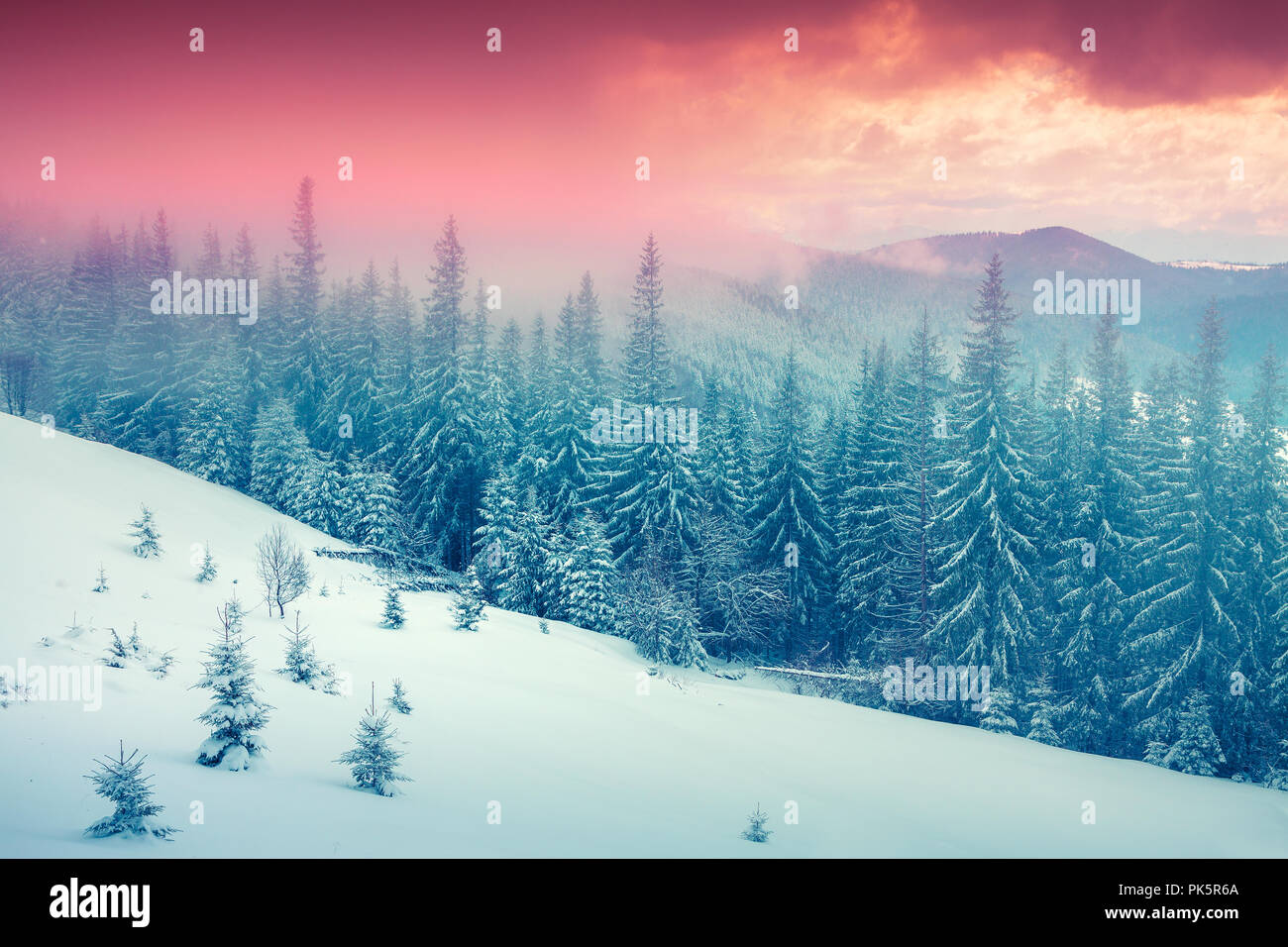 Colorful winter sunrise in the foggy mountain forest. Instagram toning. Stock Photo