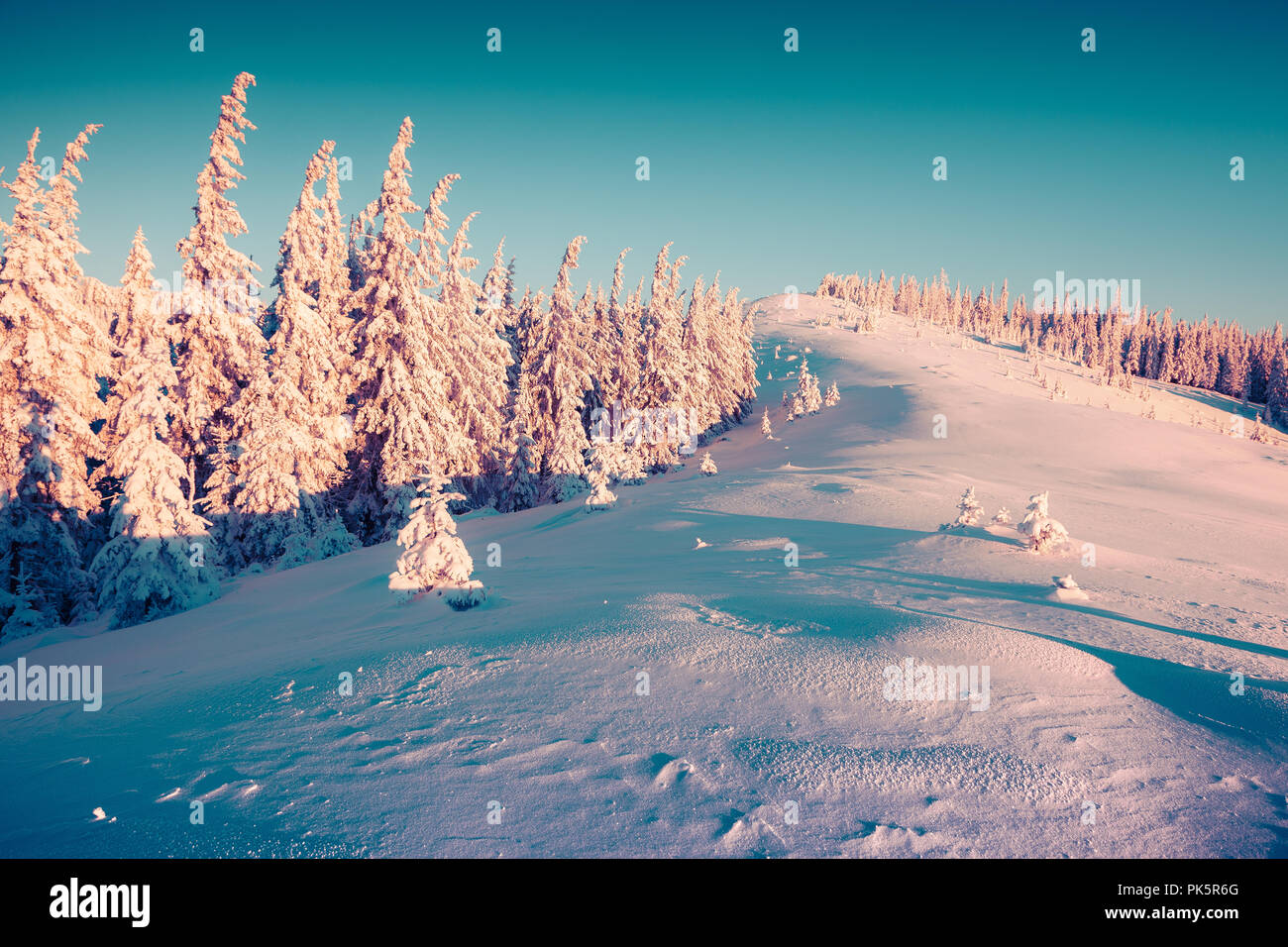 Sunny morning scene in the winter mountain. Instagram toning. Stock Photo