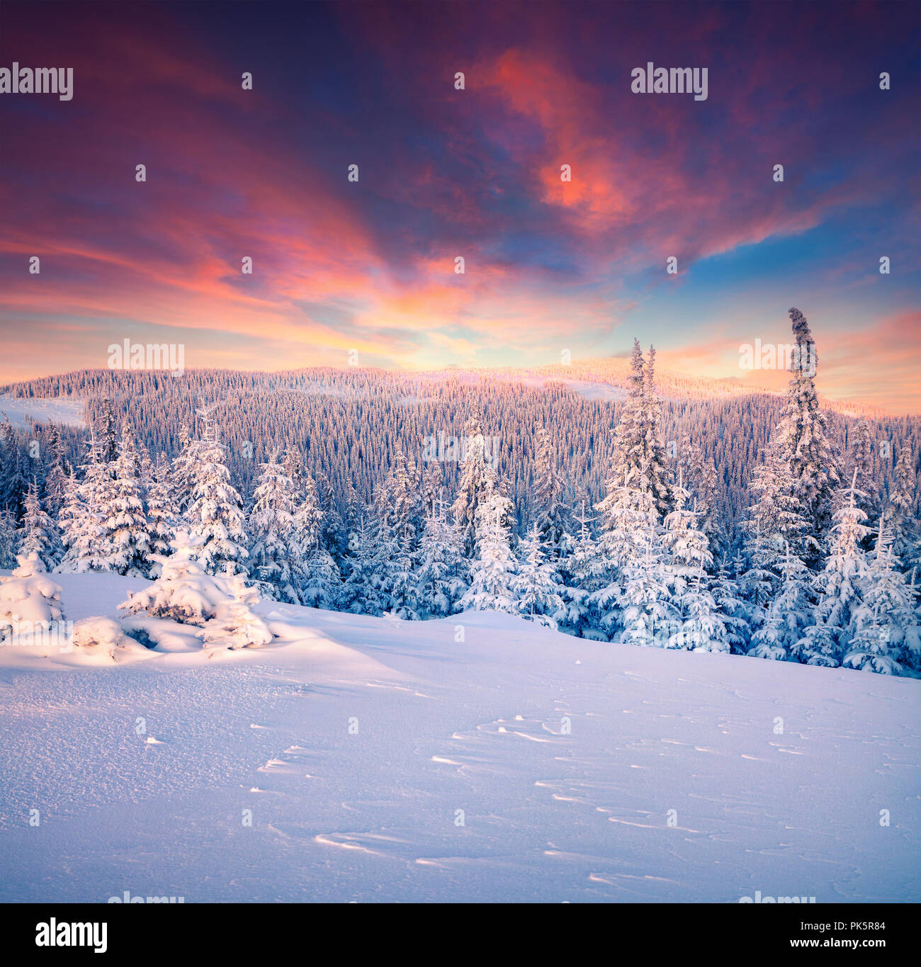 Colorful winter sunset in the Carpathian mountains. Kostrycha ridge, Ukraine, Europe. Stock Photo