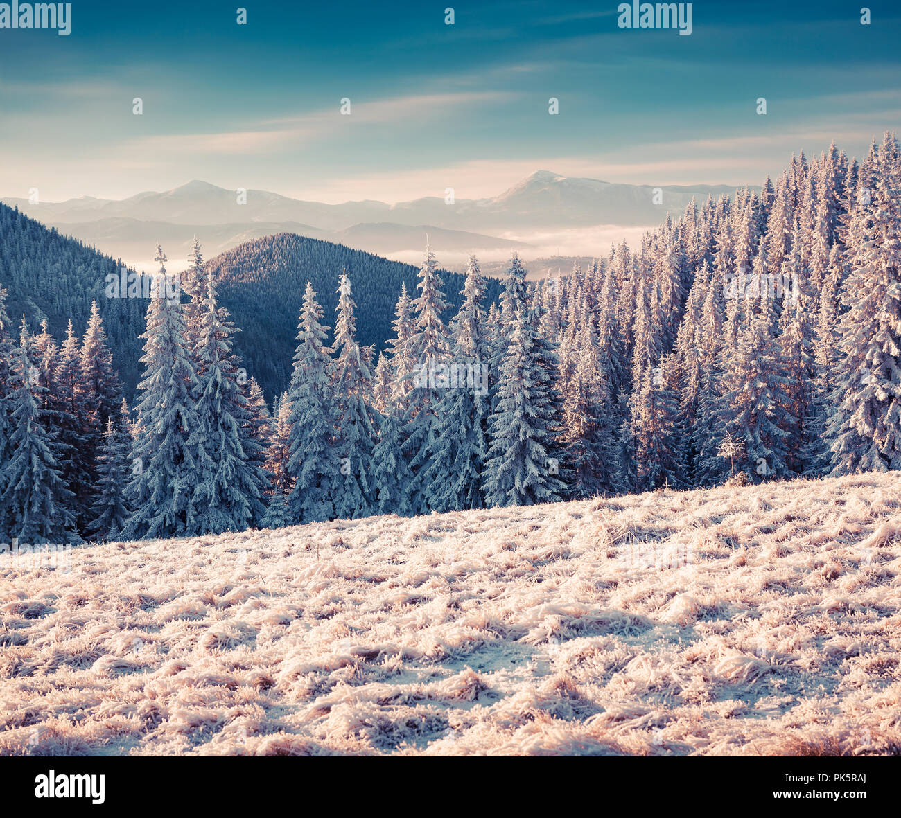 First frost in the foggy mountain valley. Stock Photo