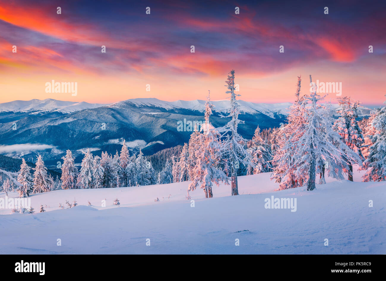 Colorful winter sunrise in the snowy mountains. Fresh snow at frosty morning glowing first sunlight. Stock Photo