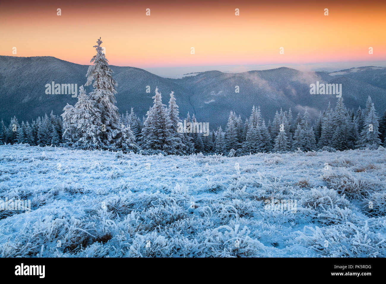 Colorful winter sunset in the frosty mountain valley. Stock Photo