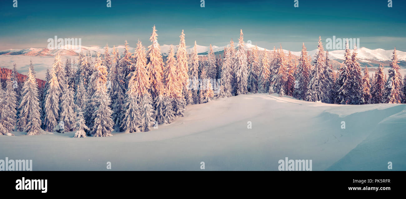 Sunny morning panorama in the winter mountain. Instagram toning. Stock Photo