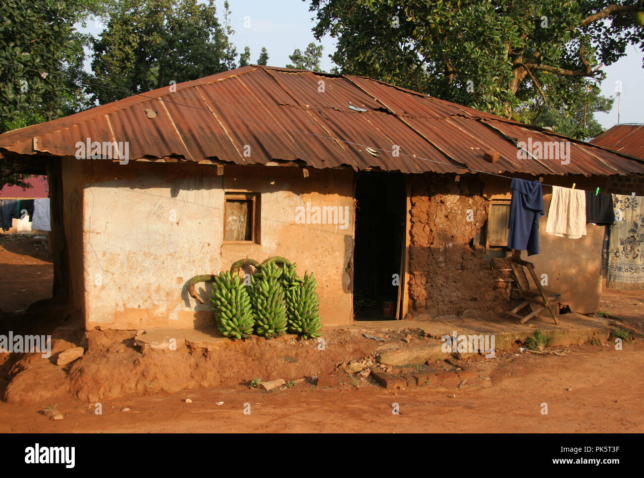 bunches of matooke (green plantain) leaning outside a dwelling in Kampala Uganda Stock Photo