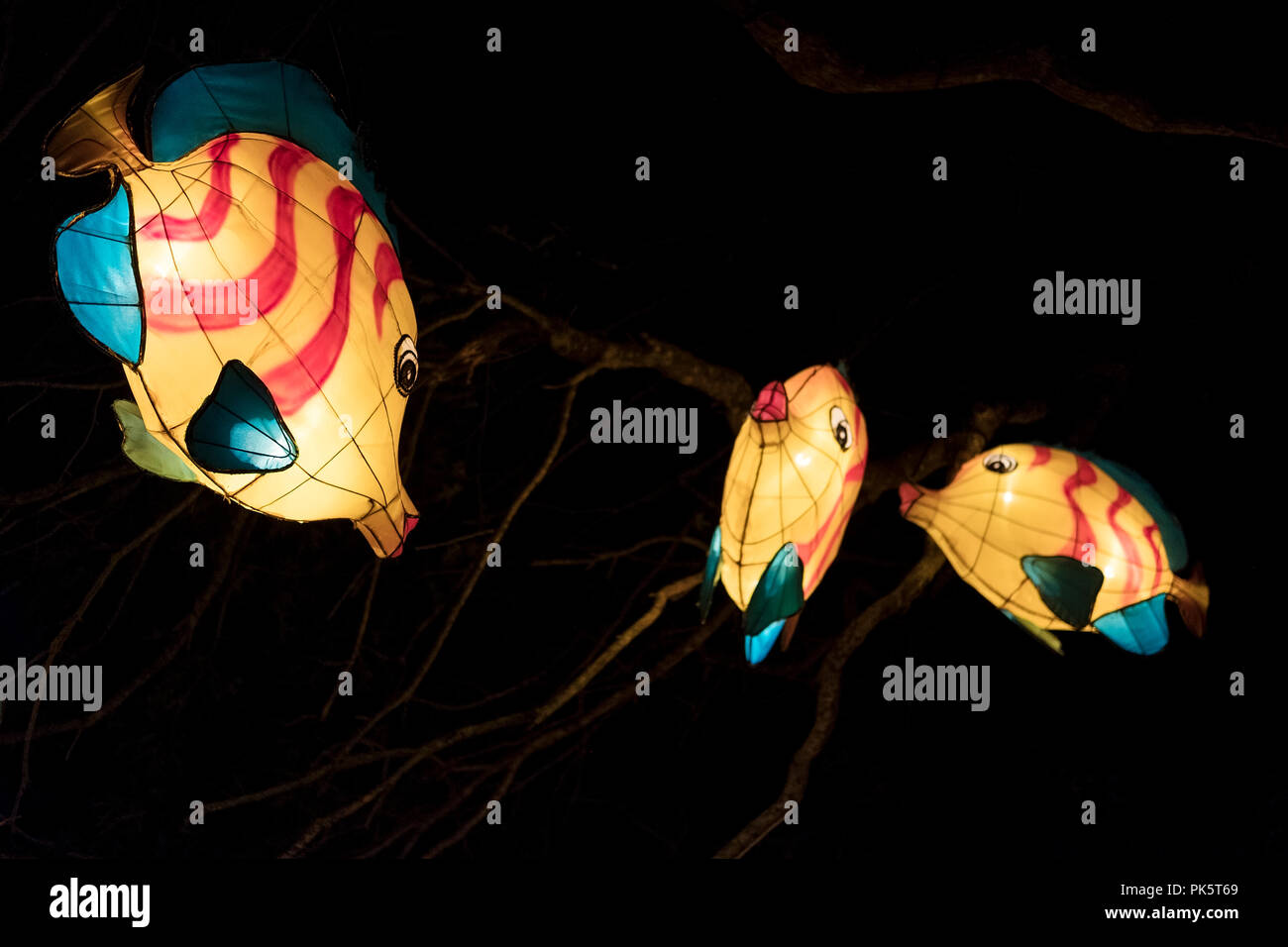 Chinese Lanterns of fish during festival in Auckland, New Zealand Stock Photo