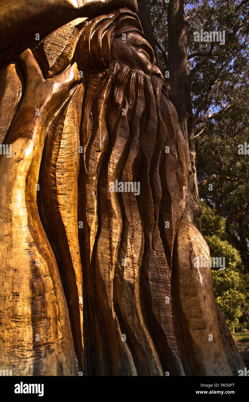 Tree carve aboriginal australia hires stock photography and images Alamy