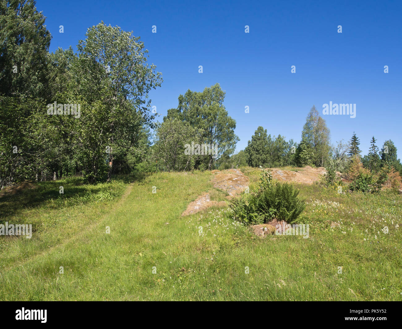 Glaskogen nature reserve in Värmland Sweden, a vast forest area  ideal for hikers, footpath crossing a hill Stock Photo