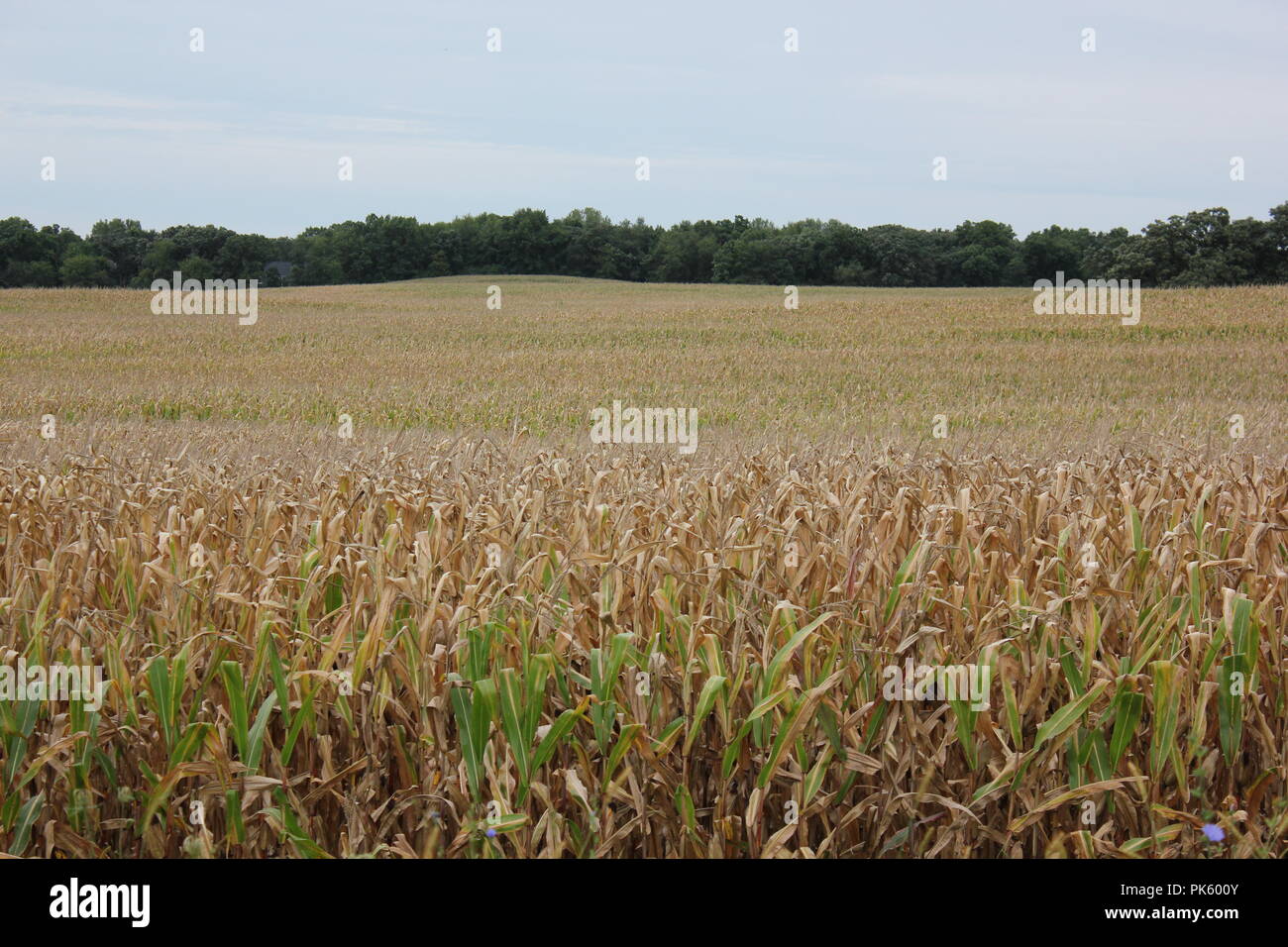 in rural Marengo, Illinois, McHenry County Stock Photo - Alamy