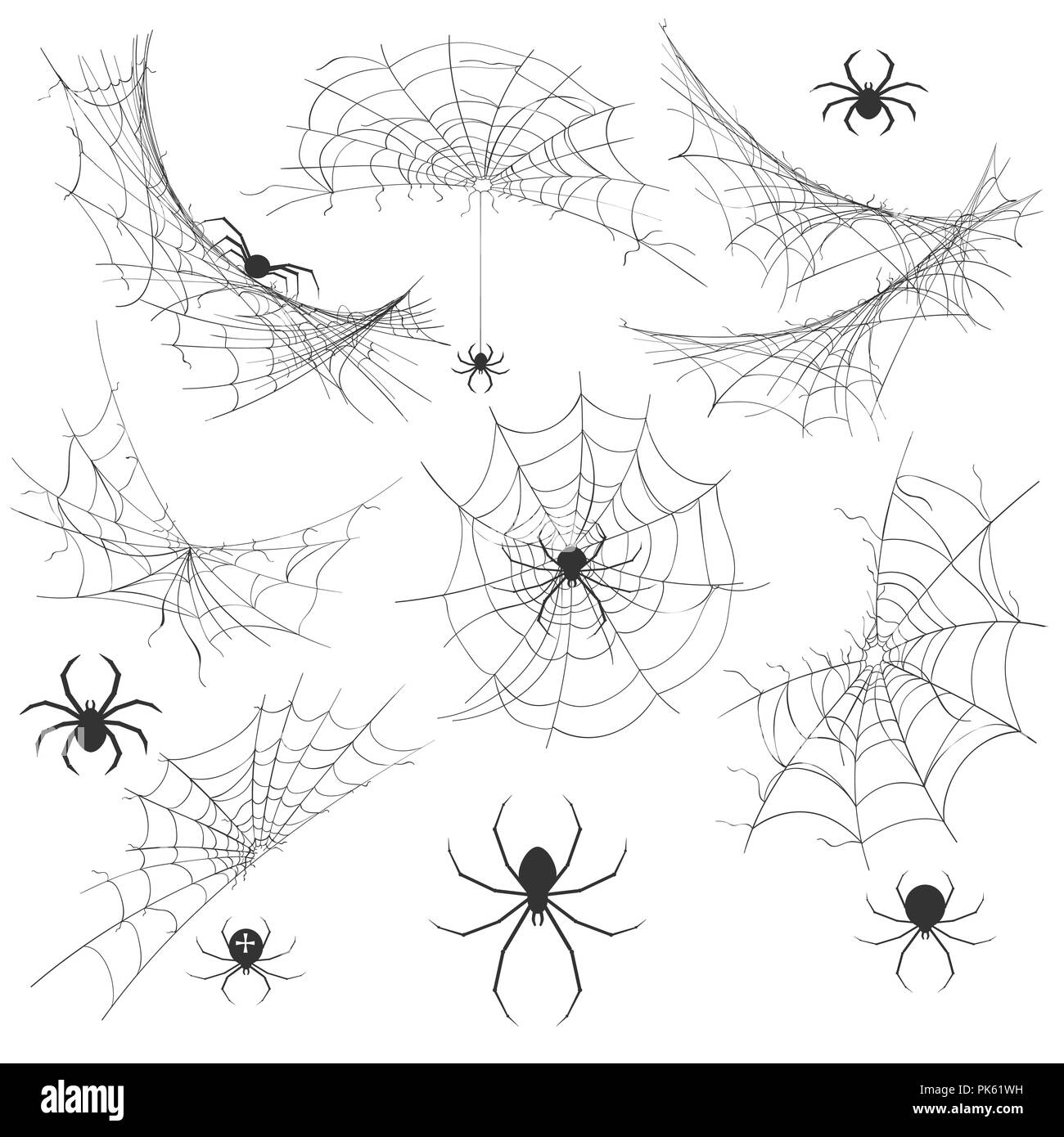 Spider With Cobweb Venom Spider Vector Illustration For Halloween Background Graphics Vintage Creepy Corner Spiderweb Decoration Stock Vector Image Art Alamy