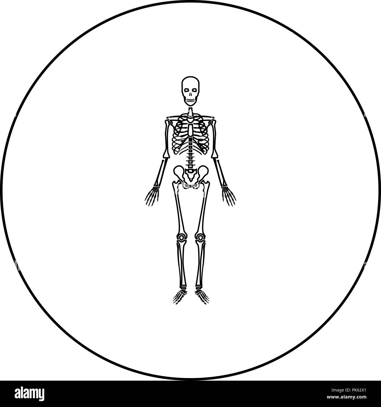 Human skeleton icon black color in round circle outline vector I Stock Vector
