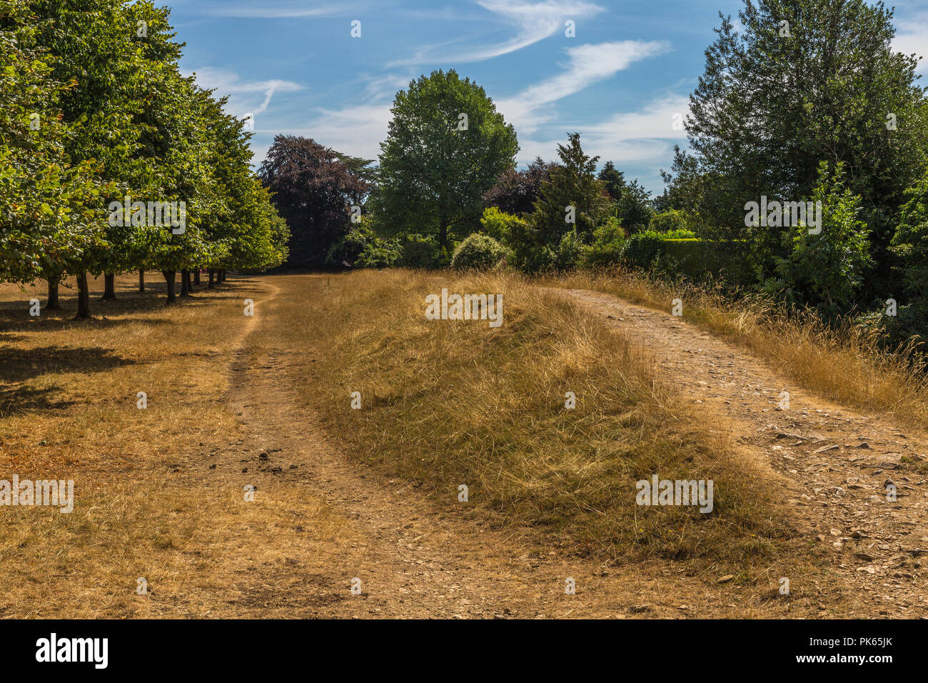 Earthworks on Minchinhampton Common Stock Photo Alamy