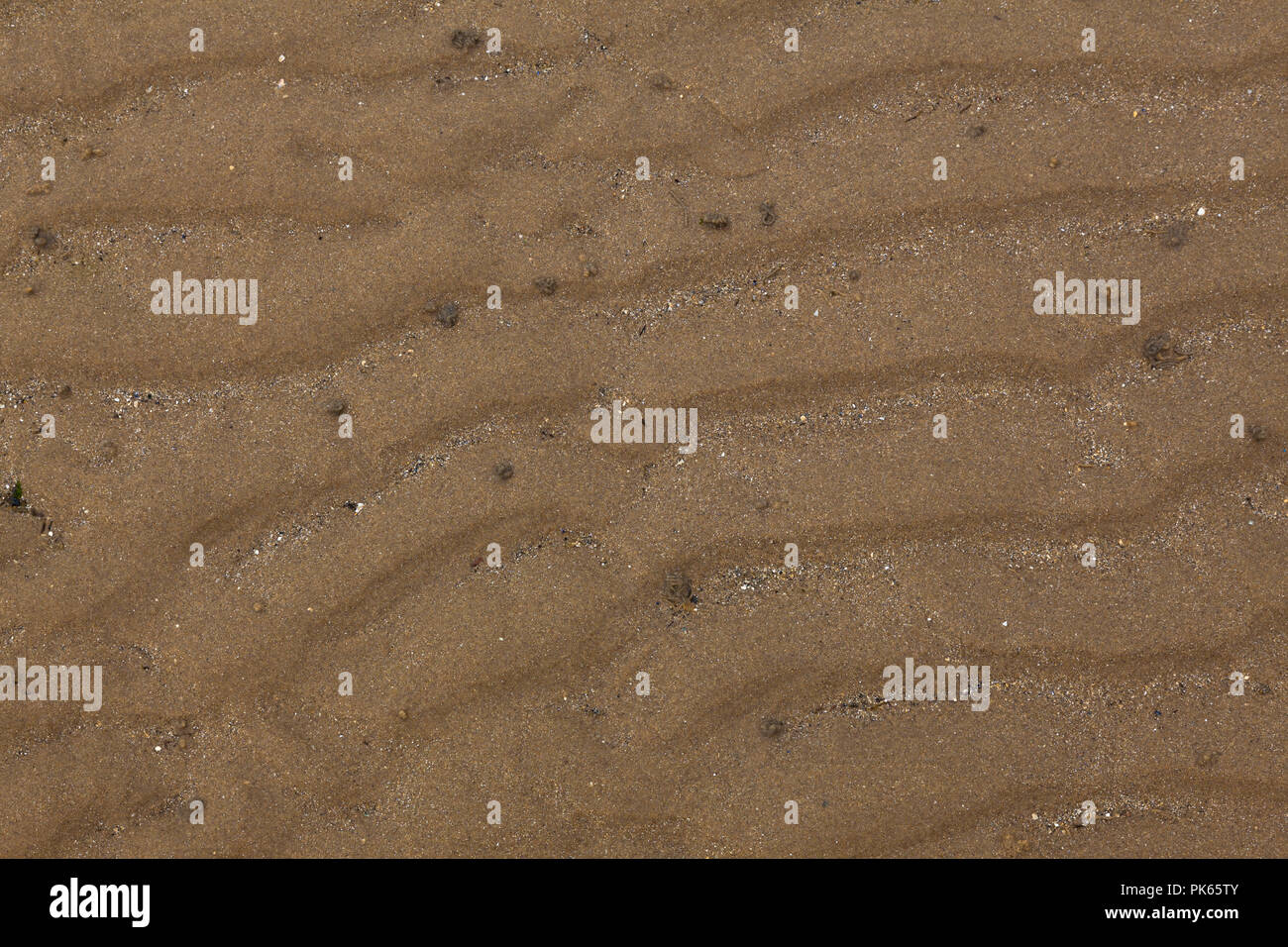 Ripples in sand on a beach at low tide. Stock Photo
