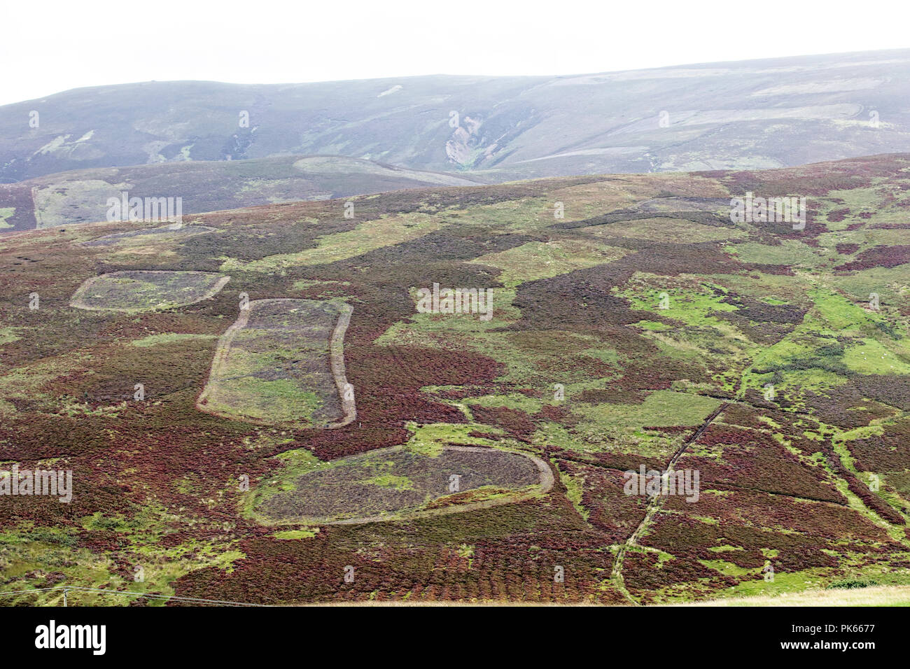 A grouse moor near Leadhills, Dumfries and Galloway, Scotland, UK. Stock Photo