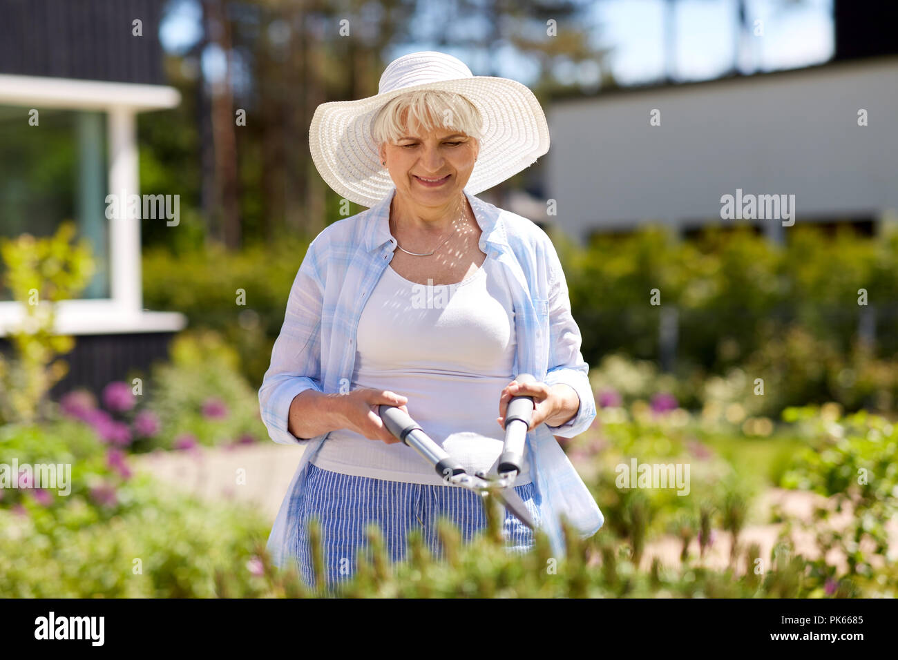 senior gardener with hedge trimmer at garden Stock Photo Alamy