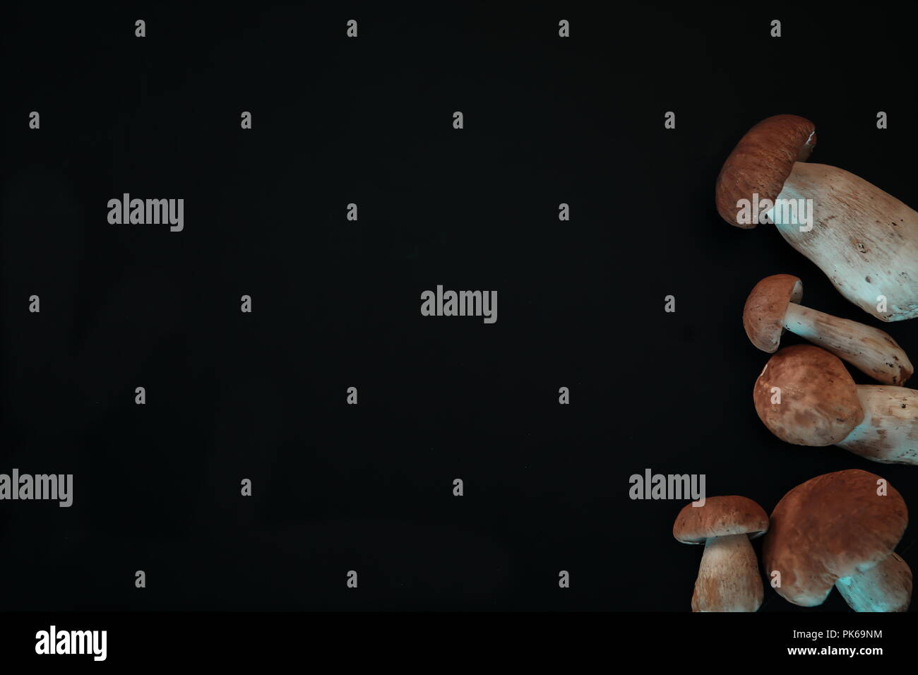 Various mushrooms on a black background Stock Photo