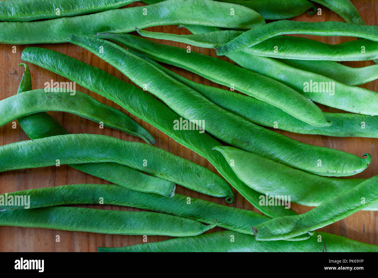 runner beans in urdu