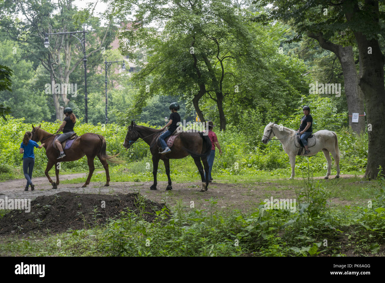Horseback riding lessons hires stock photography and images Alamy