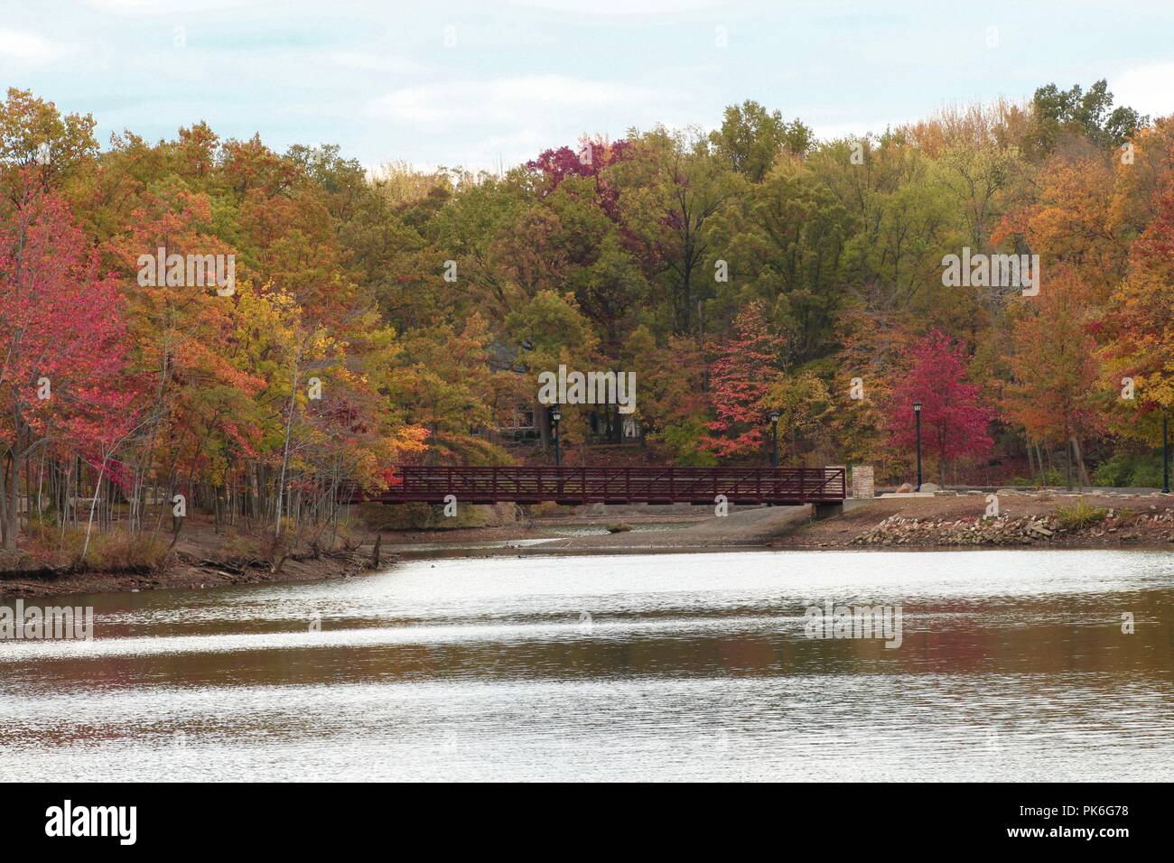 autumn colored leaves by a river with a bridge in a park Stock Photo