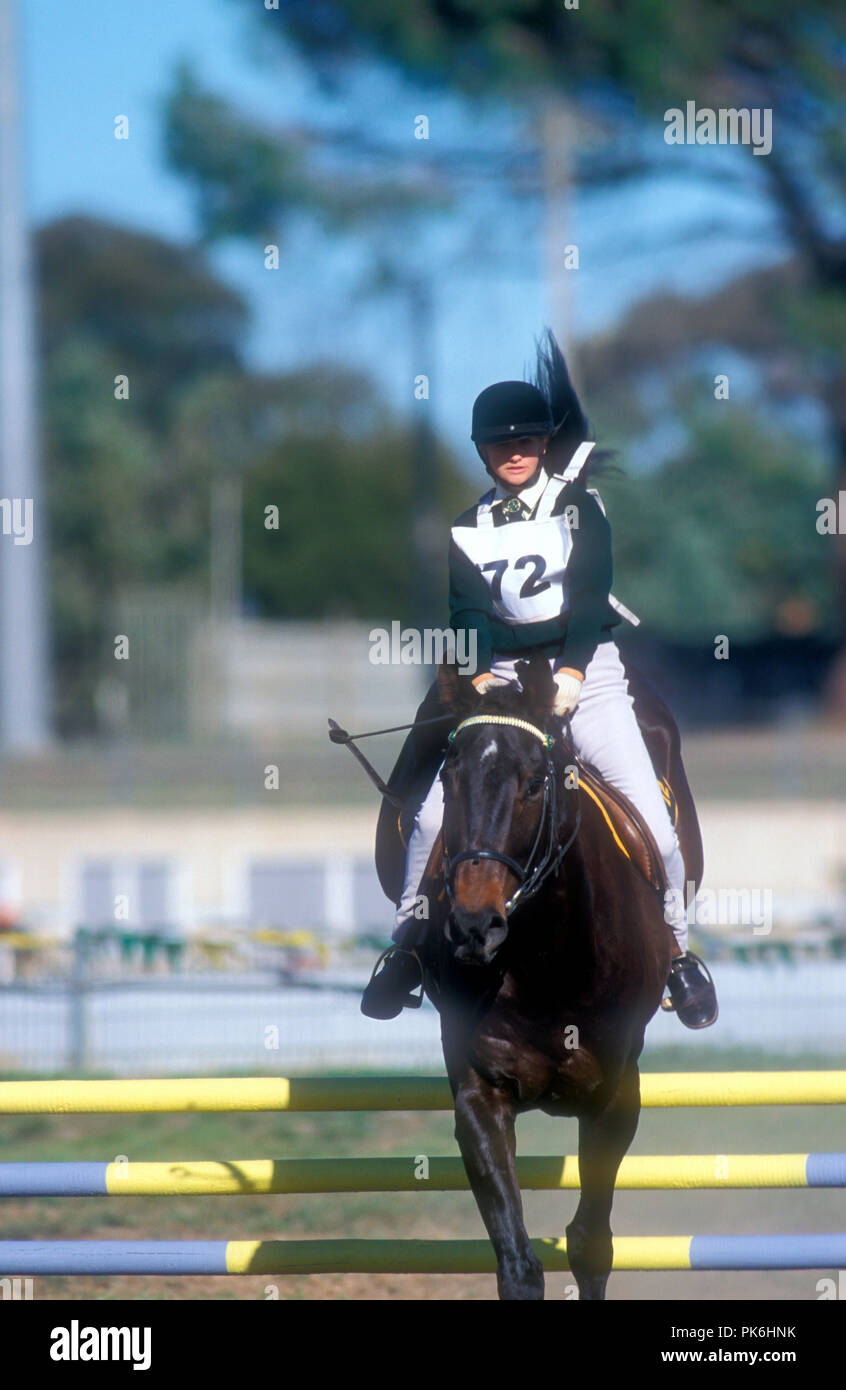 Young competitor in a show jumping event, New South Wales, Australia. Stock Photo