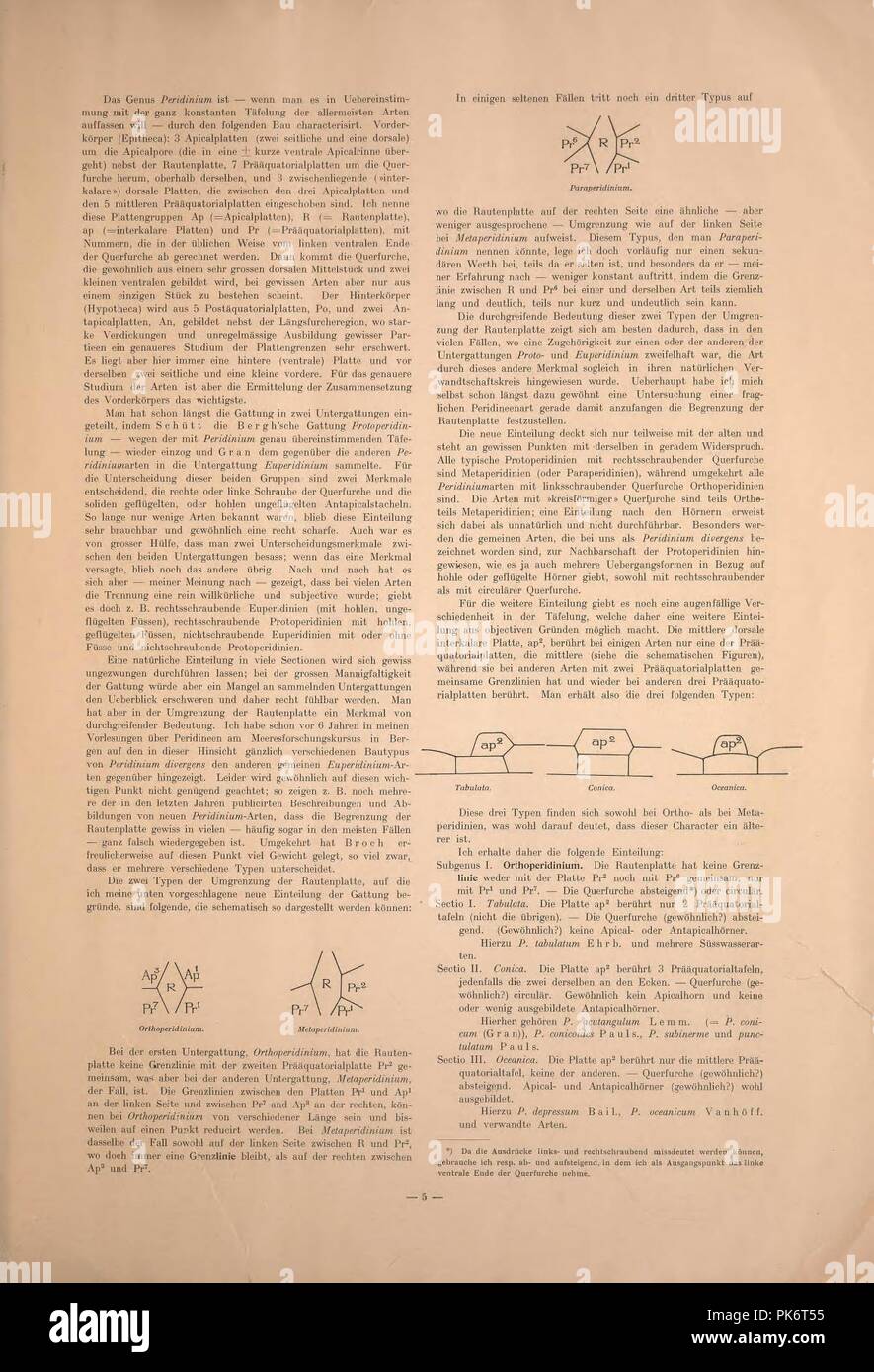 Bericht über die von den schwedischen Hydrographisch-Biologischen Kommission in den schwedischen Gewässern in den Jahren 1909-1910 eingesammelten Planktonproben (Page 5) Stock Photo